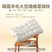 【AGAPE雅家倍】MIT韓國羊毛大豆纖維雲端枕 45x75cm