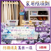 日本Hakugen白元-DRY&DRY UP家用放置型消臭防潮除濕劑3盒/組(吸濕量450ml,氯化鈣吸濕顆粒,密閉空間乾燥芳香集水盒,衣鞋櫃壁櫥清新去悶臭味) 紫陽花香