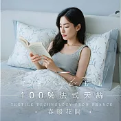 【AGAPE雅家倍】MIT台灣製 多款任選 3M法式天絲 雙人5尺薄床包鋪棉兩用被套四件組 春暖花開