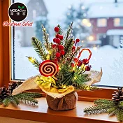 摩達客-25cm聖誕裝飾花盆+20LED暖白光燈串-兩款式可選 棒棒糖紅果款+20LED暖白光燈串