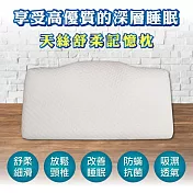【AGAPE雅家倍】MIT台灣製 天絲舒柔記憶枕1入