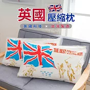 【AGAPE雅家倍】MIT《英國品牌抗菌Q彈可水洗壓縮枕》2入 百貨專櫃同款