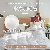 【AGAPE雅家倍】台灣製100%天然水鳥羽毛被 單人4.5x6.5尺