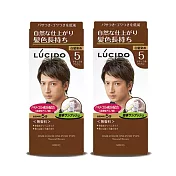 倫士度LUCIDO 按壓式染髮霜(5號自然棕)100gx2盒 男性染髮劑 白髮染 只要五分鐘 無香料