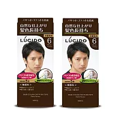 倫士度LUCIDO 按壓式染髮霜(6號深棕)100gX2盒 男性染髮劑 白髮染 只要五分鐘 無香料