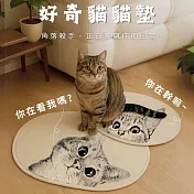 【AGAPE雅家倍】好奇貓貓墊 吸水地墊 腳踏地墊 好奇貓貓