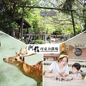 (電子票) 墾丁【阿信巧克力農場】–入園門票活動券(MO)【受託代銷】