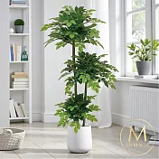 【Floral M】居家超人氣滿滿幸福樹1.5公尺室內大型仿真植栽（贈送花盆）