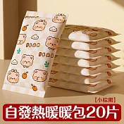 【壹念】一次性暖暖包 2入組20片 自發熱暖手寶 （秋冬必備暖手 暖暖包 可愛圖案） 小棕熊