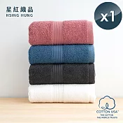 【星紅織品】台灣製100%美國棉歐風極緻厚感重磅飯店浴巾(4色任選)x1入 雪花白