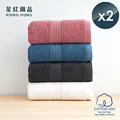 【星紅織品】台灣製100%美國棉歐風極緻厚感重磅飯店浴巾(4色任選)x2入 雪花白