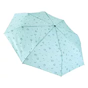 【RAINSTORY】香榭巴黎抗UV雙人自動傘