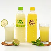 【花蓮新城佳興冰果室】佳興檸檬汁/黃金檸檬汁任選(600mlX12瓶) 招牌檸檬汁12瓶