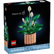 樂高LEGO Botanicals系列 - 11504 白鶴芋