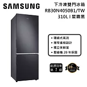 Samsung 三星 310L 下冷凍雙門冰箱 RB30N4050B1/TW 星霧黑 一級能效 小資家庭 含基本安裝+舊機回收