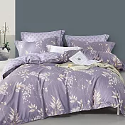 【DUYAN 竹漾】台灣製 雙溫感 石墨烯天絲四季被 / 疏語岑光