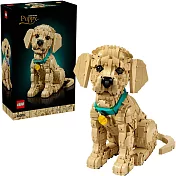 樂高LEGO Icons系列 - 11384 小黃金獵犬