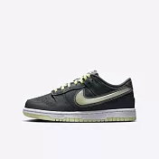 Nike Dunk Low GS [HQ3569-068] 大童 運動休閒鞋 低筒 舒適 緩震 夜光 鐵灰 螢光綠 22.5 灰/綠