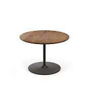 Vitra Occasional Low Table 45 偶然 邊桌 （胡桃木桌面、深棕桌腳）
