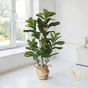 【Floral M】居家小資入門款琴葉榕室內仿真植栽
