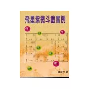 飛星紫微斗數實例