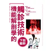 機能解剖學的觸診技術  下肢軀幹
