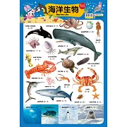 忍者兔學習掛圖：海洋生物