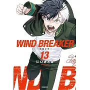 WIND BREAKER—防風少年—(13)