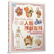 從骨骼、肌肉到器官系統，揭開身體構造的奧祕