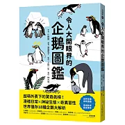 萌外表下的驚奇真相！世界僅存18種企鵝大解析
