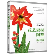 超人氣！花藝素材圖鑒