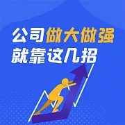 公司做大做強就靠這幾招 (有聲書)