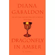 Dragonfly in Amber