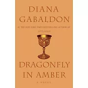 Dragonfly in Amber