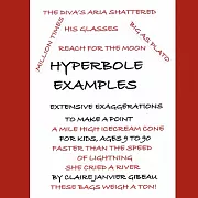 Hyperbole Examples