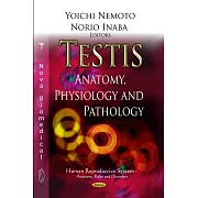 Testis: Anatomy, Physiology and Pathology