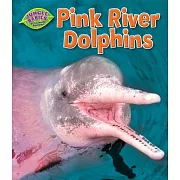 Pink River Dolphins