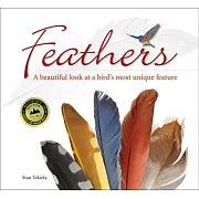Feathers: A Beautiful Look at a Bird’s Most Unique Feature