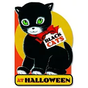 Black Cats at Halloween