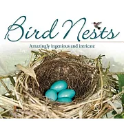 Bird Nests: Amazingly Ingenious and Intricate