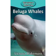 Beluga Whales