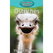 Ostriches