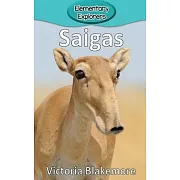 Saigas