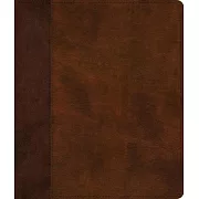 ESV Journaling Bible (Trutone, Brown/Tan, Timeless Design)