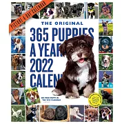 365 Puppies-A-Year Picture-A-Day Wall Calendar 2022