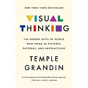 Visual Thinking: The Hidden Gifts of People Who Think in Pictures, Patterns, and Abstractions