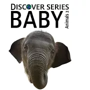 Baby Animals 2