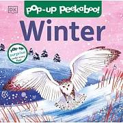 Pop-Up Peekaboo! Winter: Pop-Up Surprise Under Every Flap!
