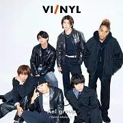 VI／NYL影視情報誌＃014：Aぇ！group