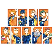 排球少年VOL2壓克力貼紙（1包）